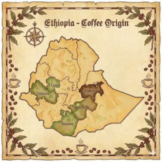 Ethiopia Sidamo Organic G2 Washed - Gidbonashayicha