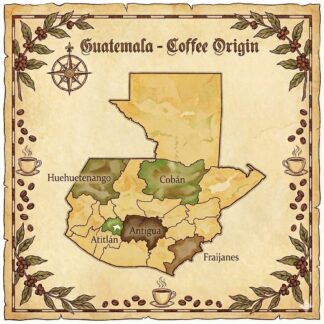 Guatemala Vista Al Bosque Washed Geisha